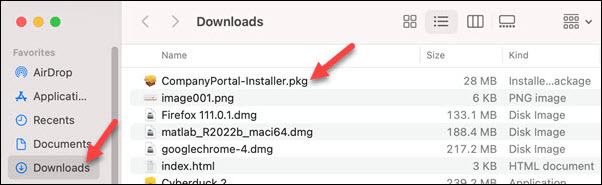 Company Portal installer package running on macOS